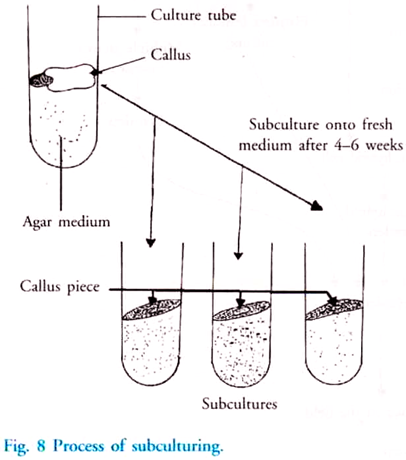 Process of Subculturing